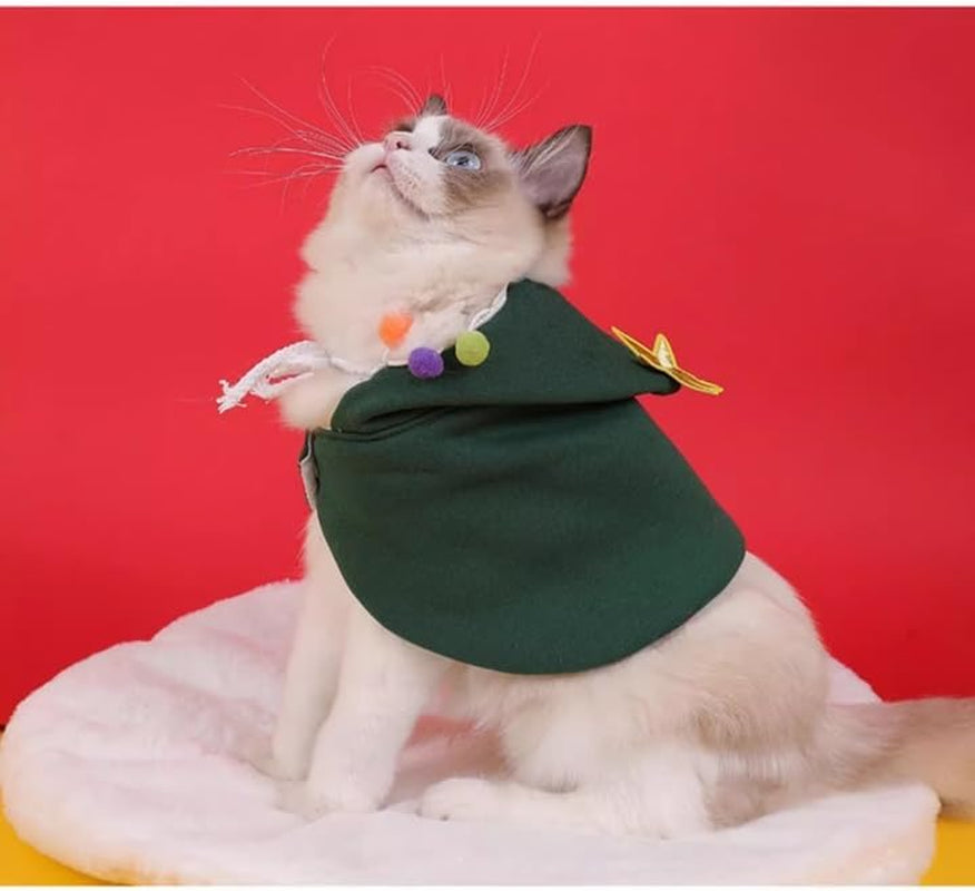 Christmas Santa Cloak Costume